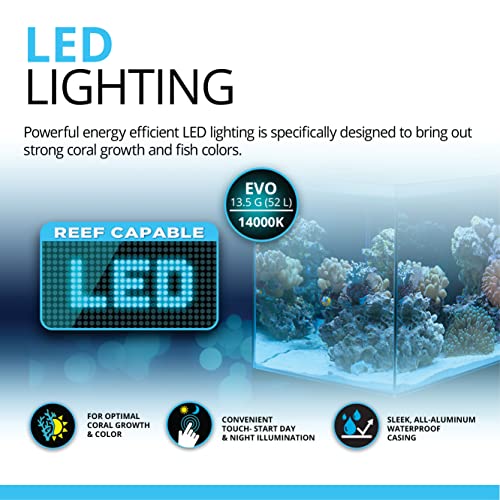 Fluval EVO Marine Aquaium Kit con luci LED Reef