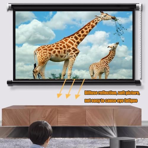 Pantalla Manual de Proyección 60 pulgadas 16:9 miniatura 4