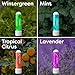 Rapid-K Nasal Inhaler Stick 4 Pack – Nausea & Sinus Relief, Motion Sickness & Morning Sickness – Non-Medicated Menthol Aromatherapy Inhalers – Mint, Wintergreen, Lavender, Tropical Variety Pack