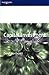 Capital Investment Decision-Making (Advanced Management Accounting & Finance)