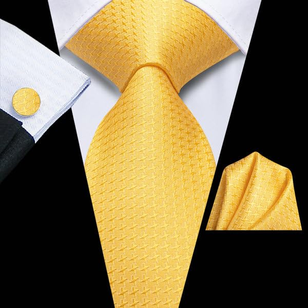 Image of Hi-Tie Mens Paisley Floral Striped Ties Set Silk Necktie and Lapel Pin for Men Pocket Square Cufflinks Set Business Wedding