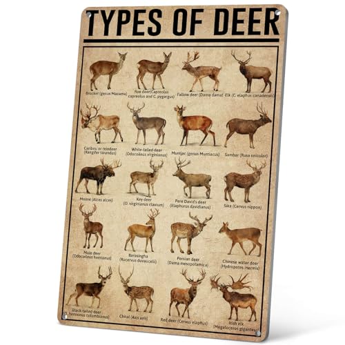 Deer Decor