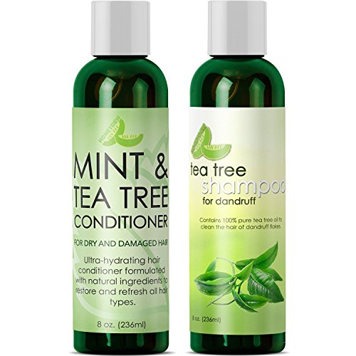 Dandruff Shampoo and Conditioner with Tea Tree Oil - Argan Oil Hair Growth Therapy - Lice Treatment for Kids - Hair Loss Products for Men Hair Loss Prevention for Women - With Lavender Aloe & Menthol