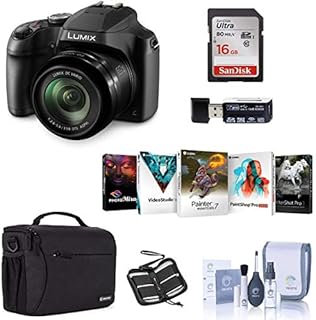 Panasonic Lumix DC-FZ80 Digital Point & Shoot Camera - Bundle with 16GB SDHC Card, Camera Bag, Cleaning Kit, Memory Wallet, Card Reader, PC Software Package
