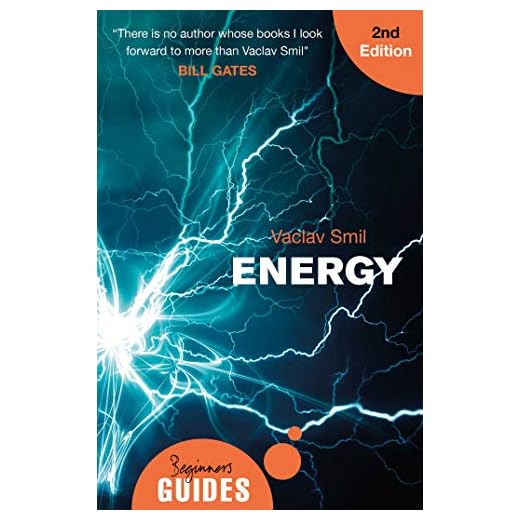 Energy: A Beginner's Guide (Beginner's Guides)