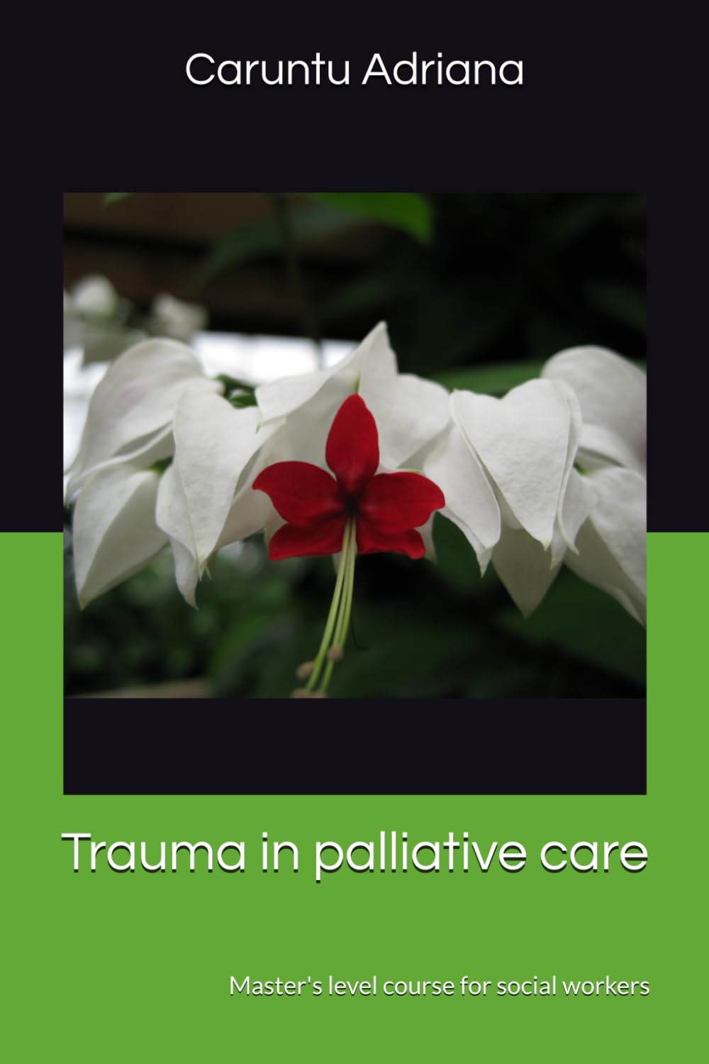 Trauma in palliative care: Master's level course for social workers