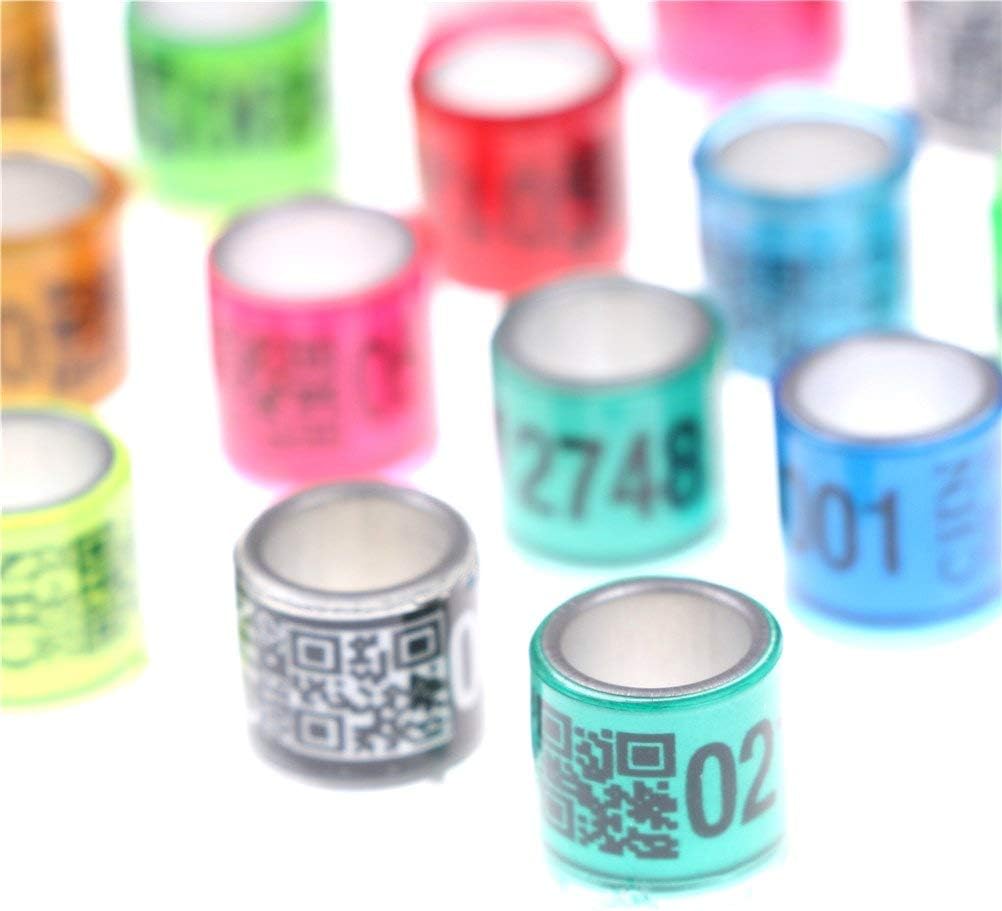 Pack Of 100 Pcs ,Bird Rings Multicolor Colorfu Leg Bands For Pigeon Parrot Finch Canary Hatch Chicks Bantam Poultry Bayonet