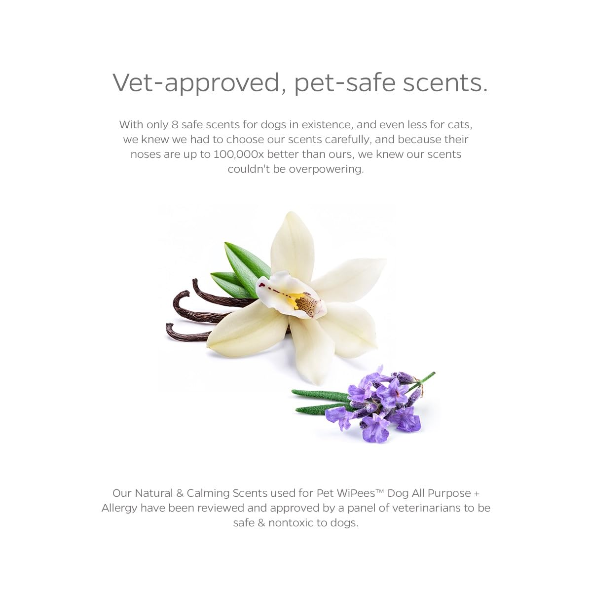 Pet Parents® Pet WiPees™ - Toallitas multiusos para perros + alergias, toallitas para mascotas, toallitas para cachorros, toallitas para patas y perros, toallitas para perros grandes (100 unidades