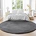 Amazon Basics Fluffy Washable Round Area Rug, Circle Shaggy Carpet for Living Room, Bedroom, Nursery, 6'R, Dark Gray