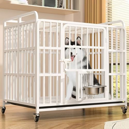 大型犬 ケージ 金属製」の人気商品一覧 | 安い商品を通販サイトから