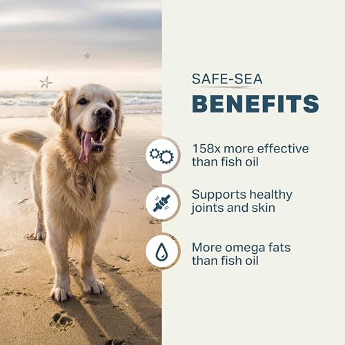 Protect + Safe-Sea