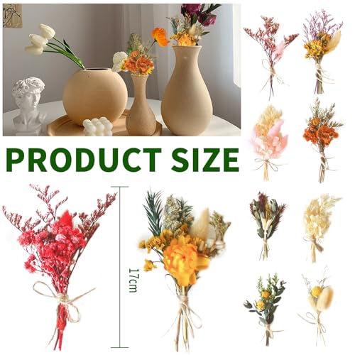Lithyc 10Bündel Getrocknete Blumen Deko - Mini Trockenblumen Zum Basteln - Trockenblumen Kleine SträUßE - Geeignet FüR Vasen, Kunsthandwerk, Korsagen, Hochzeiten, DIY Foto Requisiten Dekoration, Etc