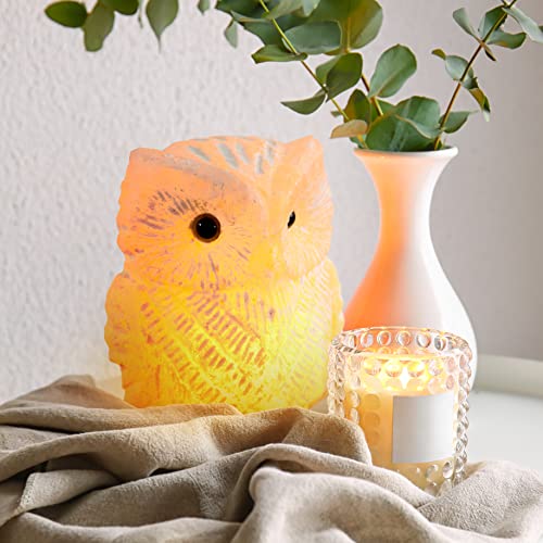 Owl Crystal Salt Lamp H 6.7”, 4.4 Lbs - Pure Natural Rock Salt – Unique Night Light Lamp - 1 Light Bulb As A Gift - Wooden Present Box - Holiday Gift Ideas - Cool Room Décor #TOP7