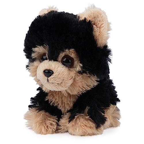 Gund 6066076 Boo, The World’S Cutest Dog, Boo & Friends Collection Yorkie Puppy, Stuffed Animal thumb #2