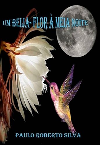 UM BEIJA-FLOR À MEIA NOITE - Paulo Roberto Silva