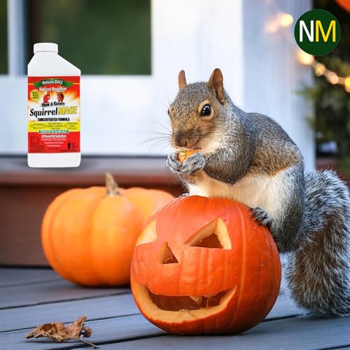 Nature'S Mace SQURTU9001 Squirrel Repellent 40 Ounce Spray thumb #2