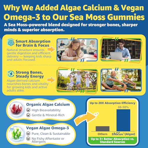 Image of 2pack Sea Moss Gummies for Kids & Adults, 19-IN-1 Super Food with Elderberry, Spirulina, Algae Omega 3, Algae Calcium, Ashwagandha, Mushroom, Vitamins D3, C for Immune, Gut, Bone, Energy, Brain, Vegan