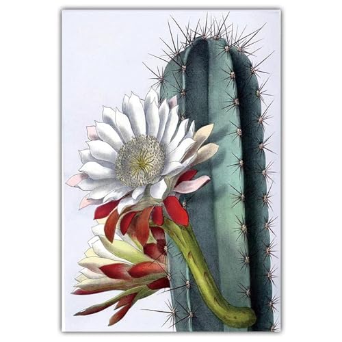 Art mural de bureau avec affiche de plante verte cactus pour maison - 3