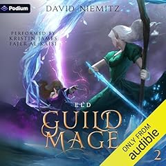 Guild Mage: Eld Audiolibro Por David Niemitz arte de portada