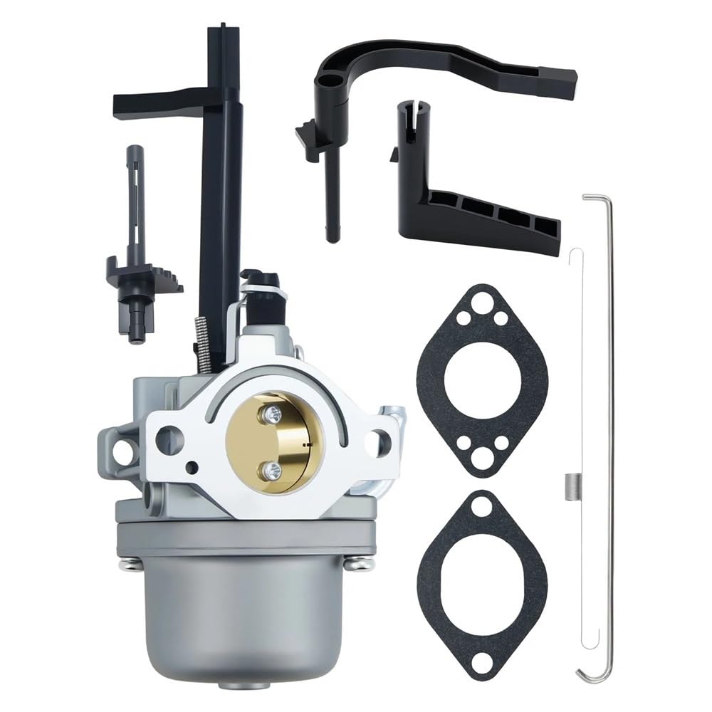 Carburador BS 697978 de alta precisión para regular mezcla de combustible