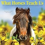 What Horses Teach Us 2025 12" x 12" Wall Calendar