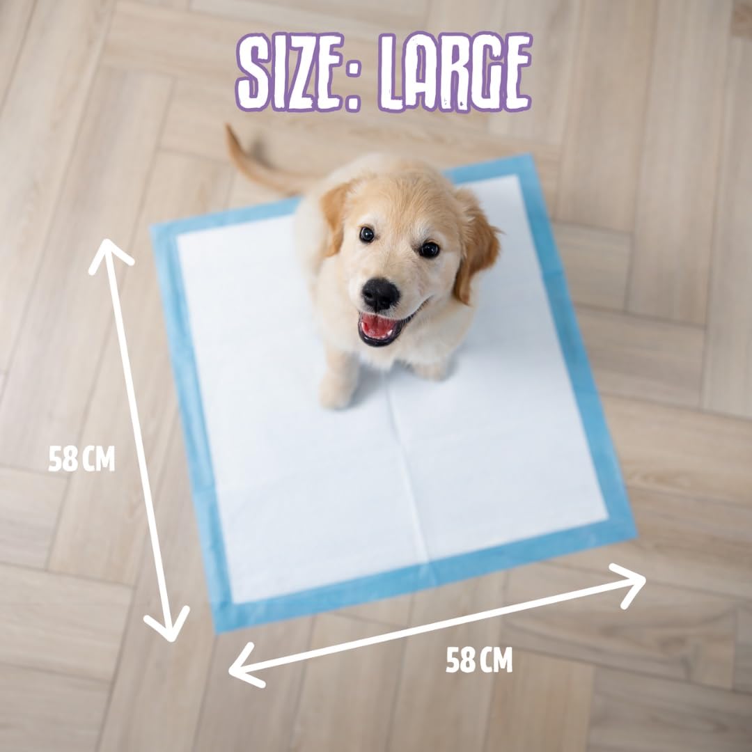 Nobleza Puppy pads kopen? ✔️ Tot 81% korting
