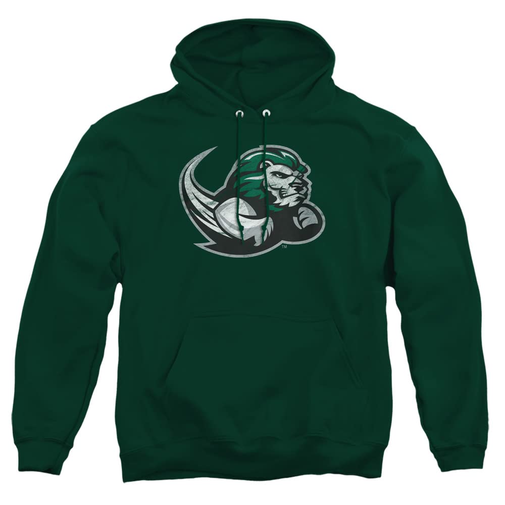 LOGOVISION Official Collegiate Distressed Primary Logo Adult Pullover Hoodie Collection — view 494