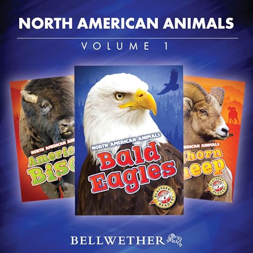 North American Animals: Volume 1 by various episode artwork