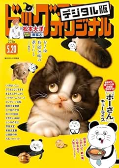 ビッグコミックオリジナル 2026年10号