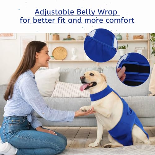 Image of Dog Diapers Female Reusable Washable Period Diaper with Suspender,Adjustable Dog Panties Anti-Harassment, Doggie Diapers for Incontinence, Heat Cycles, or Senior Dogs(XS-XL