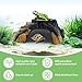 GOZILLA Small Reptile Cave for Terrarium,Reptile Humid Hide Basking Platform,Resin Root Decor for Small Frog,Bearded Dragon and Leopard Gecko.(Black-S)