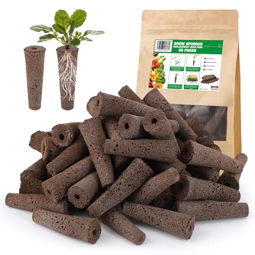 Lifecoasis 60 Pack Grow Sponges - Replacement Seed Pods for AeroGarden and Hydroponics Indoor Growing System - Ideal for Herb Gardening and Root Growth