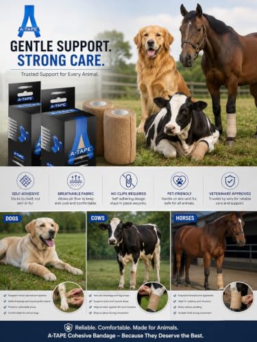 Image of A-Tape Cohesive Crepe (7.5cm X 4.5 mtr, Pack of 2) Elastic Self Adherent Crepe Bandage Breathable Self Adhesive Cohesive Bandage for Humans & Pets (Dogs, Cats, Birds) (Orange)