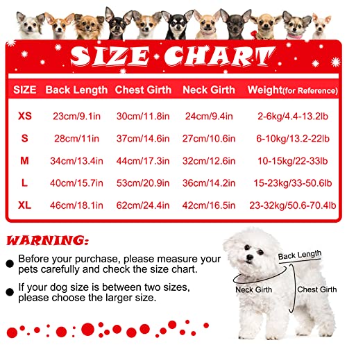 Girl Dog Sweater - Image 2