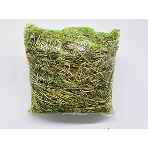 MK Home Textile Timothy Rabbit Hay - Fresh Feeding Hay for Rabbits & Guinea Pigs Green, Dust-Free, Long-Stem, Sun-Dried Feeding Hay 100% Natural Food (Pack of 225 Gram) Cover