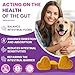 Dog Allergy Chews for Immune Support,500 PCs Formula Supports Skin Health, Relieve Itching Improve Digestion, Allergy and Immune for Dogs
