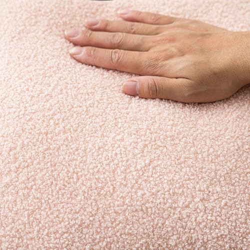 Image of Foindtower Pack of 2, Curly Faux Fur Decorative Throw Pillow Covers Soft Fuzzy Plush Cushion Case with Zipper Cozy Pillowcase for Home Living Room Couch Bed Sofa 22 x 22 Inch, Light Pink