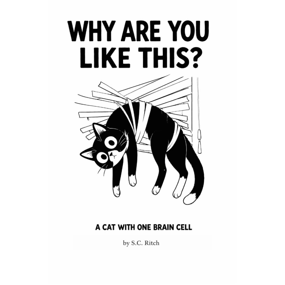Why Are You Like This?: A cat with one brain cell