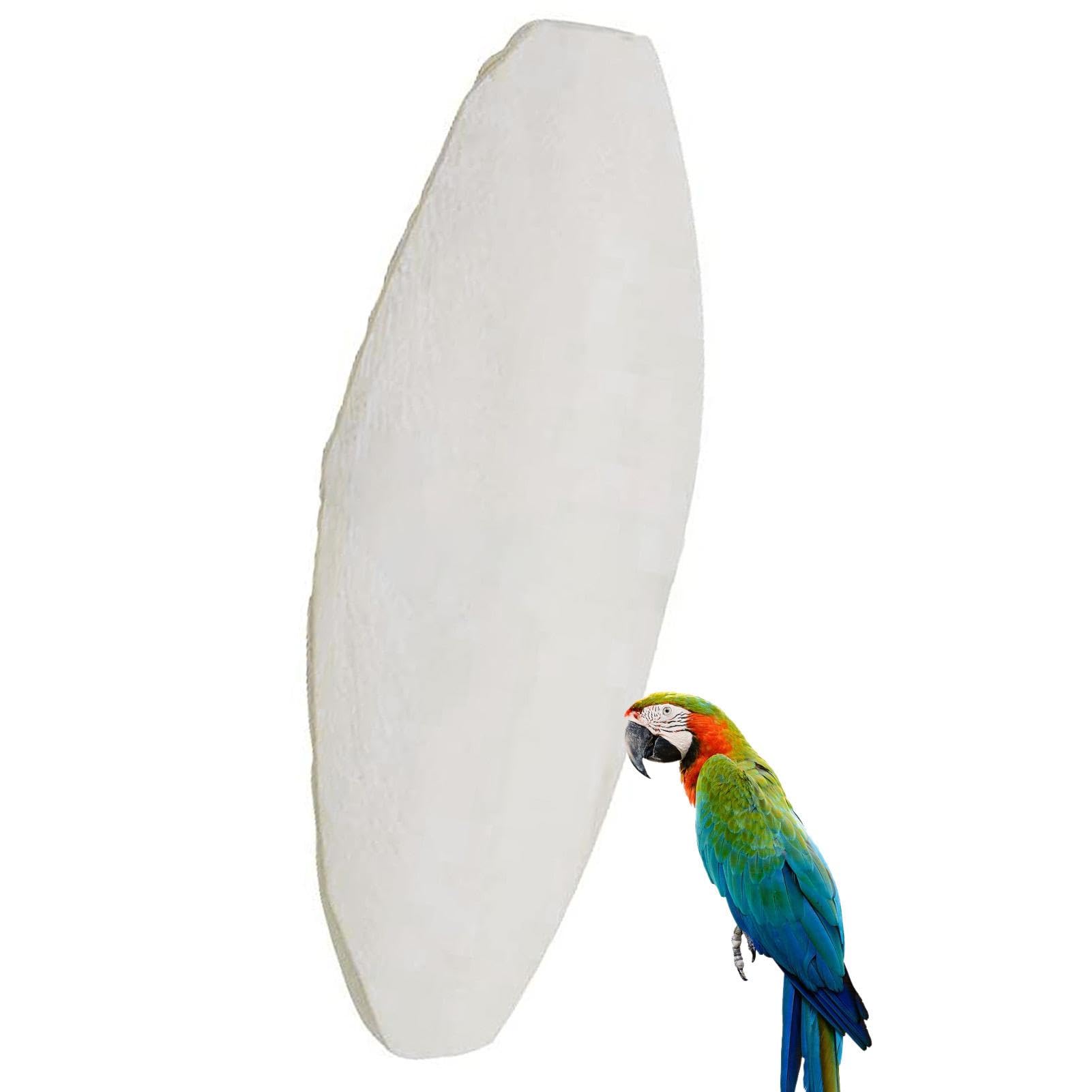 Huesos De Sepia Naturales Para Pájaros - Rico En Calcio, Para Desgastar El Pico De Periquitos, Canarios Y Aves Exóticas