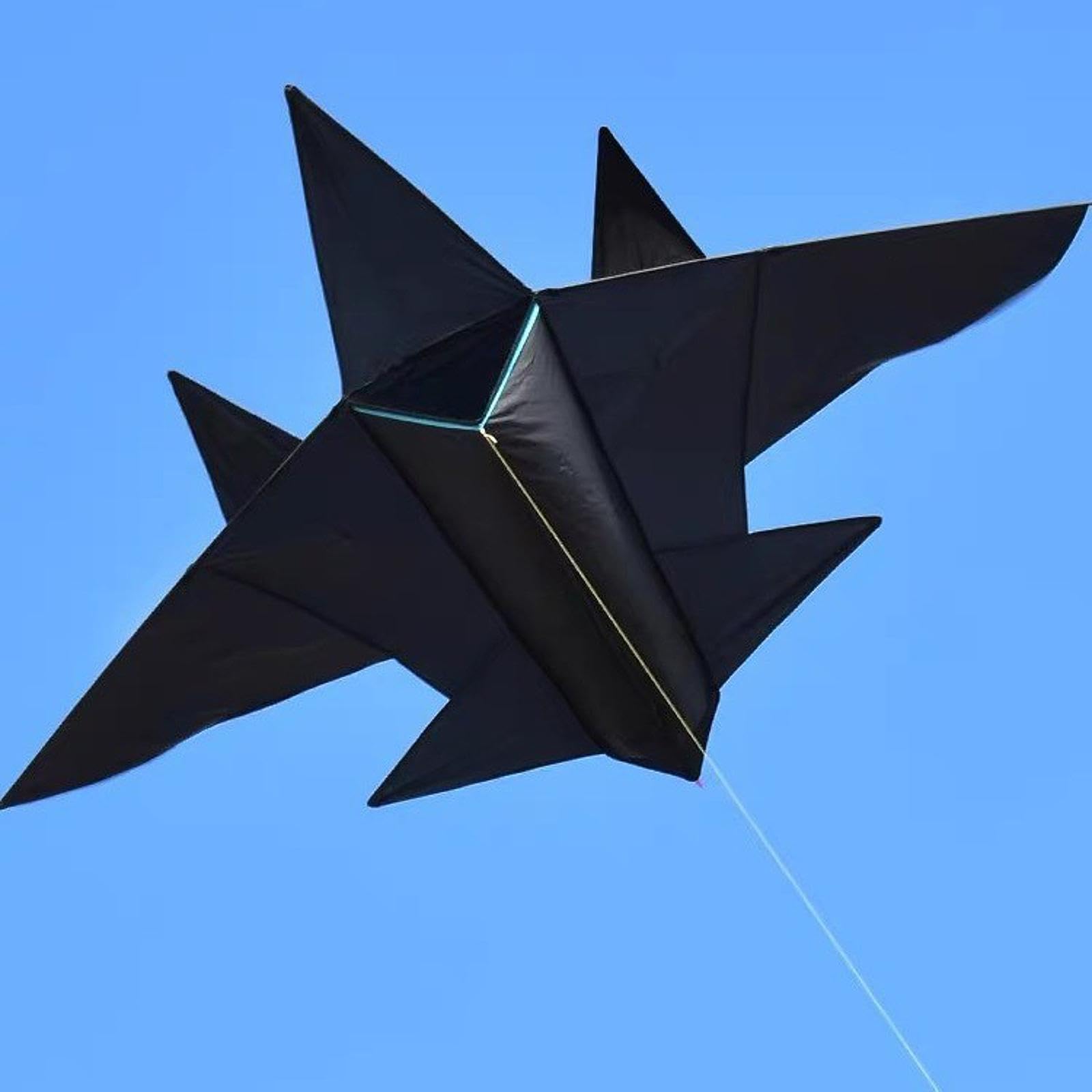 Cometa Gigante con Forma de Avión, Juguete Volador, Tamaño Enorme, Plegable, Deportiva, Cometa para Playa, Parque, Niños, Niñas, Negro, Medio