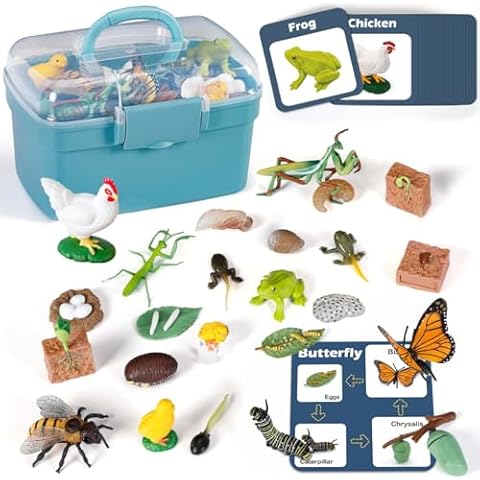 Life Cycle Learning Toys for Kids: Life Science Education Kits with Butterfly, Frog, Chicken, Mantis, Bee, Plants - 25 Pieces Animal Figurines Montessori Toys for Children Age 3 4 5 6 7 8+ Cover