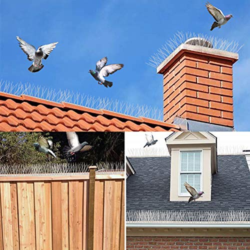 Aushucu Bird Spikes Cover 11Feet Stainless Steel Pigeons Spikes Small Bird Repellent Spikes For Roof Fence Window Mailbox(11Feet) #TOP4