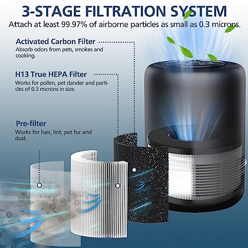 Image of BS-01 Replacement Filter Compatible with Slevoo BS-01 Air Purifier