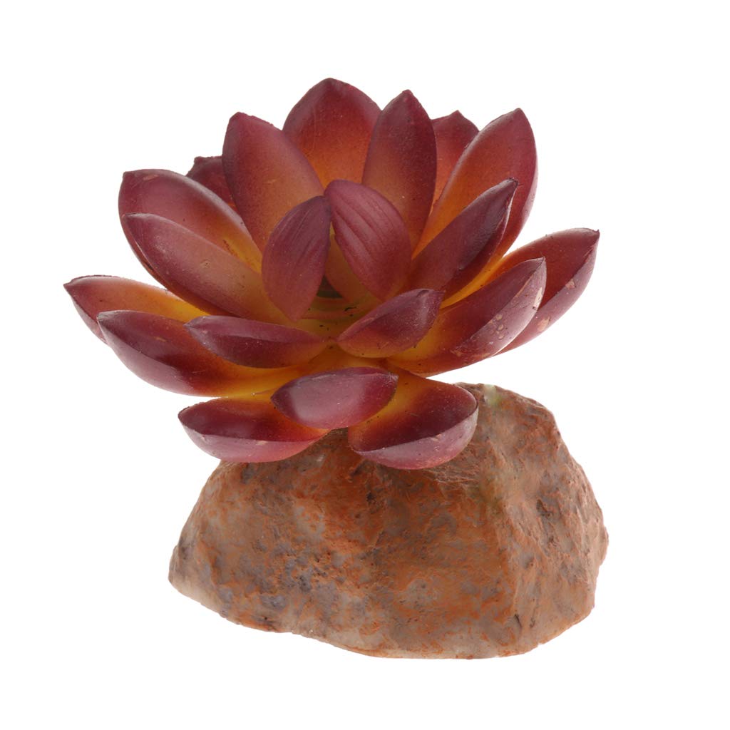 Baoblaze TERRARIUM MULTI MINI GROUND DESERT PLANT REPTILE DECOR VIVARIUM, 1