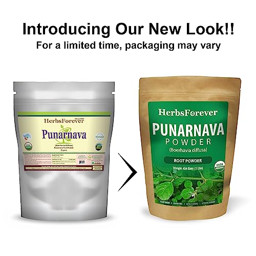 Herbsforever Punarnava Powder – Boerhaavia Diffusa – Helps To Maintain Healthy Urinary Tract And Kidney Function – Non Gmo, Organic, Vegan – 454 Gms #TOP2