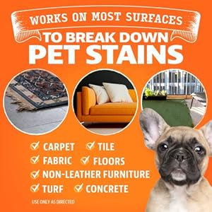   ANGRY-ORANGE-Pet-Stain-and-Odor-Remover-2-Spray-Pack-32-oz-Dog-Ferret-Rabbit-Cat-Urine-Enzyme-Cleaner-8-oz-Strong-Pet-Odor-Eliminator-Concentrate-for-Pee-on-Carpet-Furniture-Tile-Wood