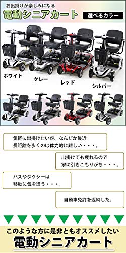 電動カート 電動車イス 介護に正解はないのだ