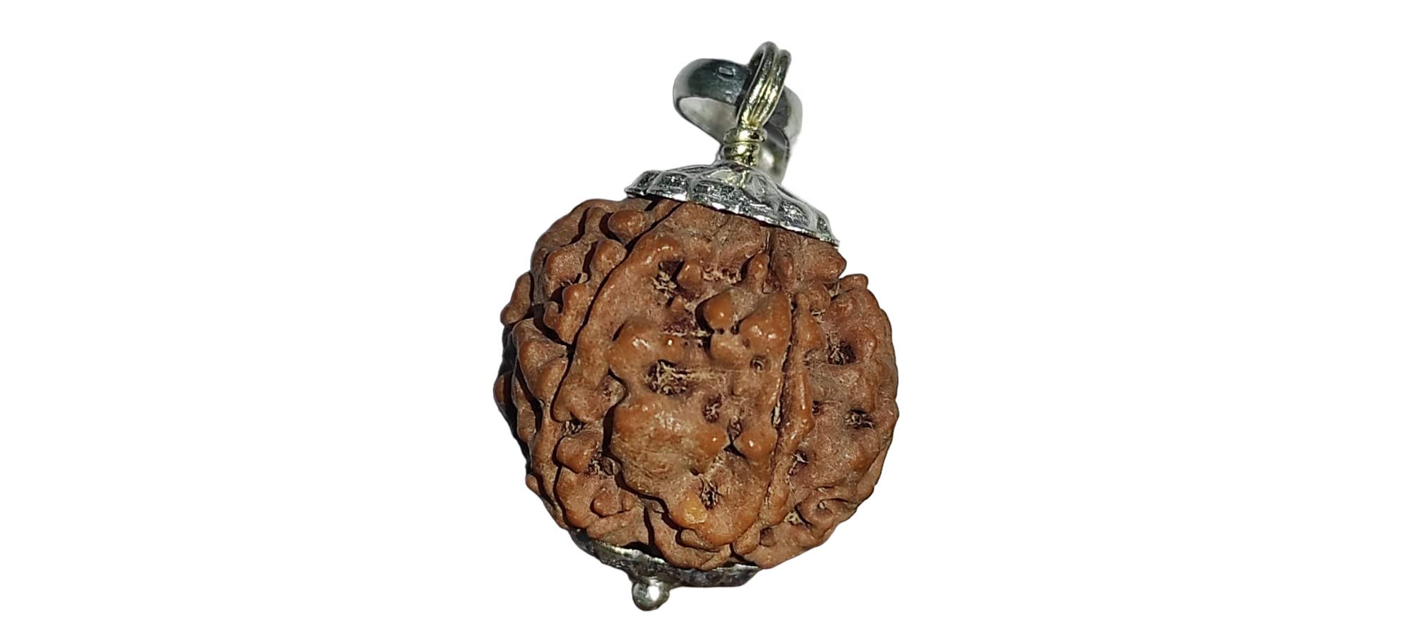 6 Mukhi Rudraksha | 6 mukhi Rudraksha Original | 6 Mukhi Rudraksha Original Certified | Black Bead | with Certification | Ruthratcham | by Shree Rudraksham | (B0C1NSPPSQ) Amazon Price History, Amazon Price Tracker