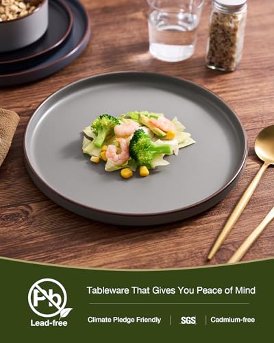 Image of Famiware Nebula Ridge Stoneware Dinnerware Sets with Pasta Bowls, Plates and Bowls Sets, Service for 4 (16 Pieces), Microwave and Dishwasher Safe Kitchen Plates, Multi-color