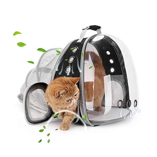 Bubble Backpack Carrier